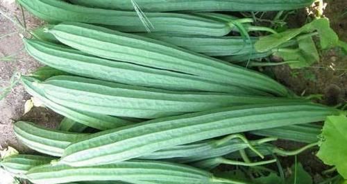 润肤滋阴的好食物，女人坚持吃，补充营养，排毒养颜，预防便秘