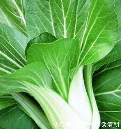 身体|此青菜要少吃,没营养还伤身体,很多人都不清楚,现在了解还不晚