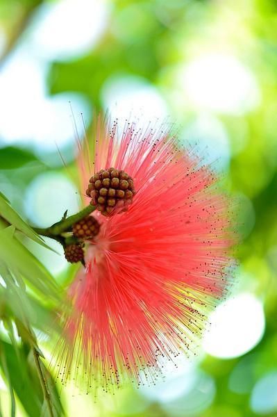 妖娆|推荐一部豪门世家小说《法医星妻太妖娆》,非常精彩,值得一看!