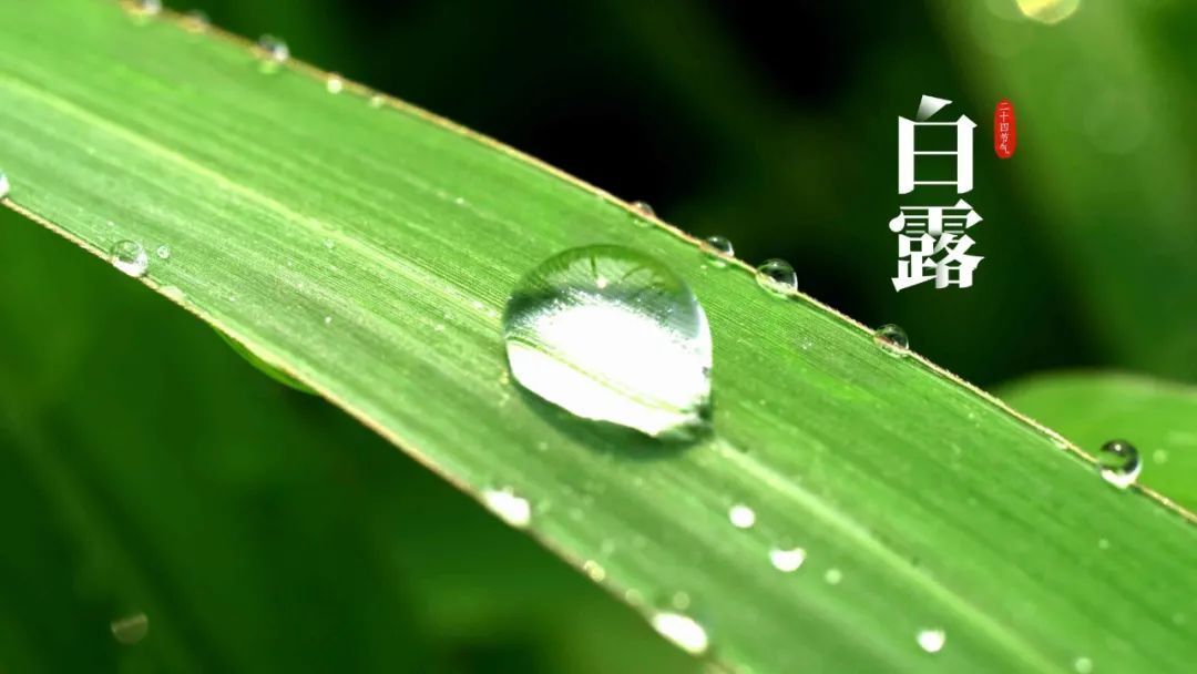 经脉|白露天气逐渐转凉,想要避免疾病的侵袭,养生谨记:捂好这4处