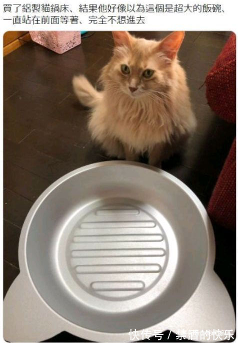 |搞笑瞬间那些猝不及防的图片,笑得肚子疼,都怪我没忍住啊