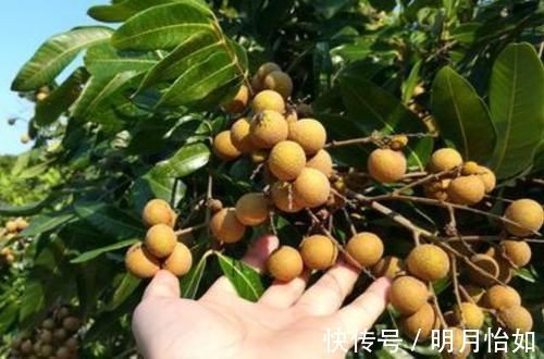 产妇|产妇坐月子期间,4种食物要舍得吃,或能促进身体恢复