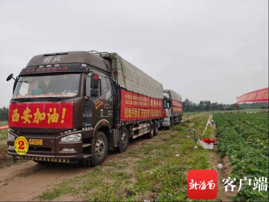 大货车|暖心！儋州一企业捐赠60万元瓜菜驰援西安抗疫