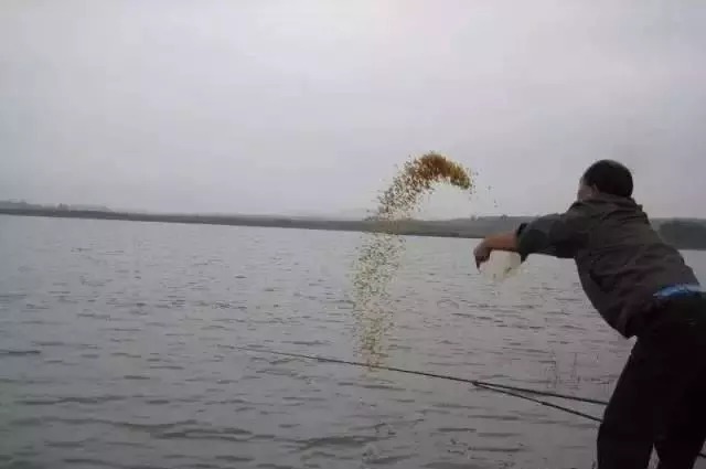 水底|野钓连竿不已突然停口，别以为都是大鱼进窝了，还有这几种情况