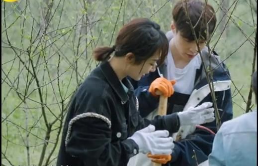 向往5 《向往5》继刘晓邑后,节目组再次请对人,杨紫请多来几期