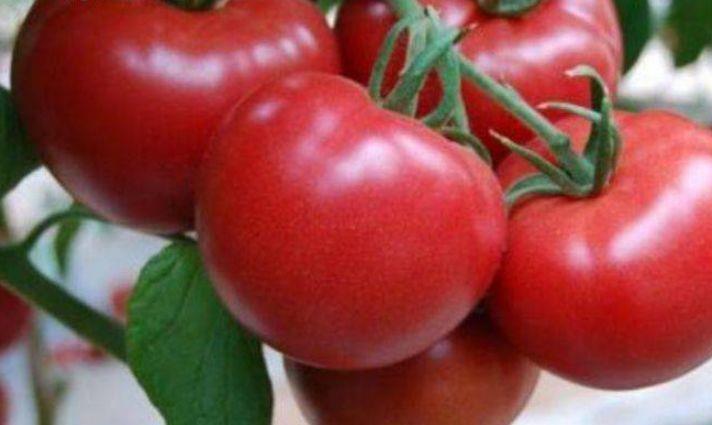 维生素|人到中年想长寿,要坚持吃3种食物,润肤美容、早吃早好