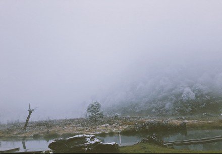 黑竹|黑竹沟也下雪啦！白茫茫一片，美炸！！