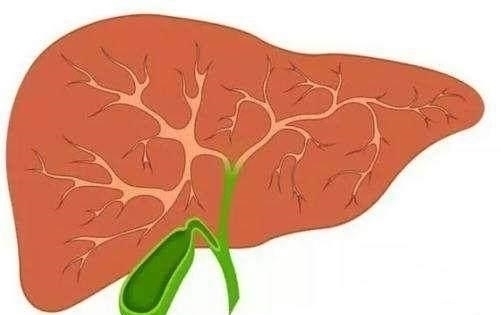 香菇|如果舌头的颜色有这种变化,那可能是肝硬化的早期“信号”
