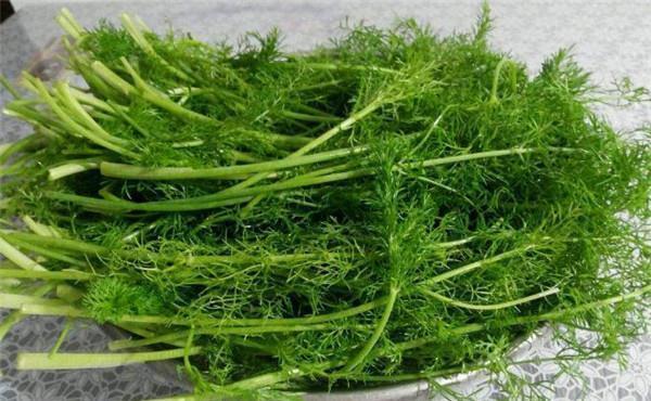 甘油三酯|馒头吃多了血脂会超标?医生:若想血脂降低,少吃3类“素食”