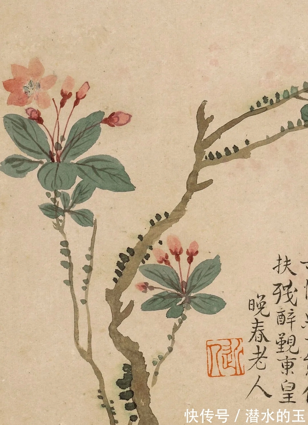 花卉图$汪士慎:一生心事为花忙丨私享艺术