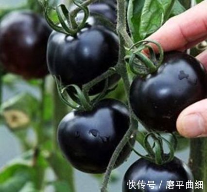 中年|對身體很好的3種食物,排毒養(yǎng)顏、滋潤肌膚,越吃越年輕