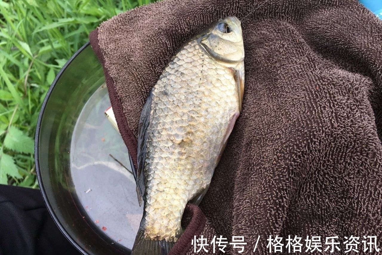 野钓时有哪些物品是必备的？这5件东西，少一件都钓不好鱼