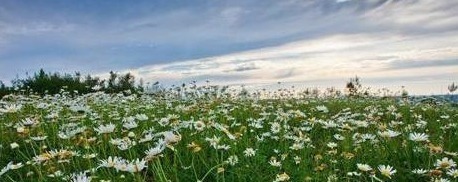 良言|鬼谷子劝世良言:牢记这三句,人生才会越走越顺