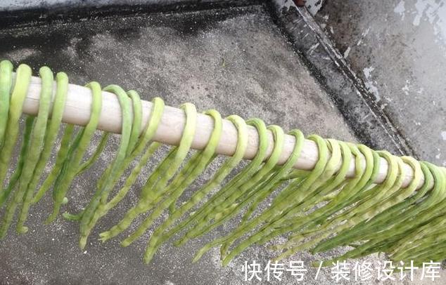 豆角|晒豆角干,有人直接晒,有人焯水,都不对,教你正确方法,好又快