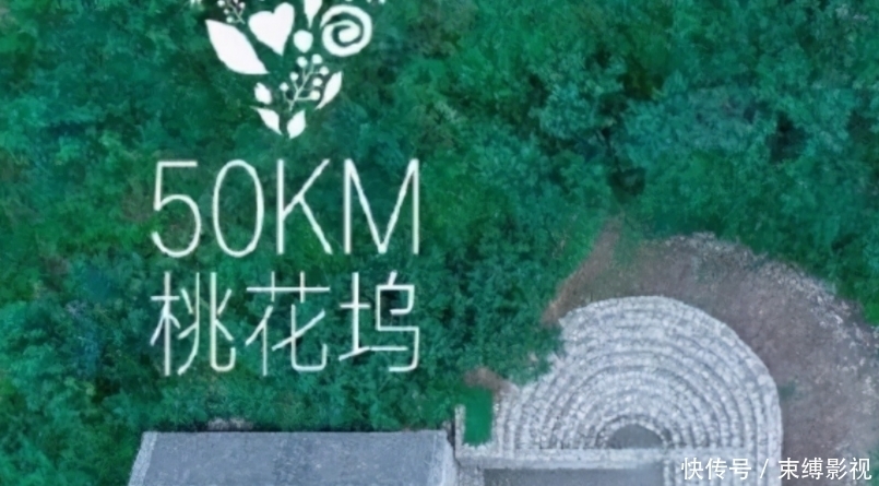 颜值担当 腾讯又打造真人秀综艺发布会,两大男神联动舒淇,爆款没得选了