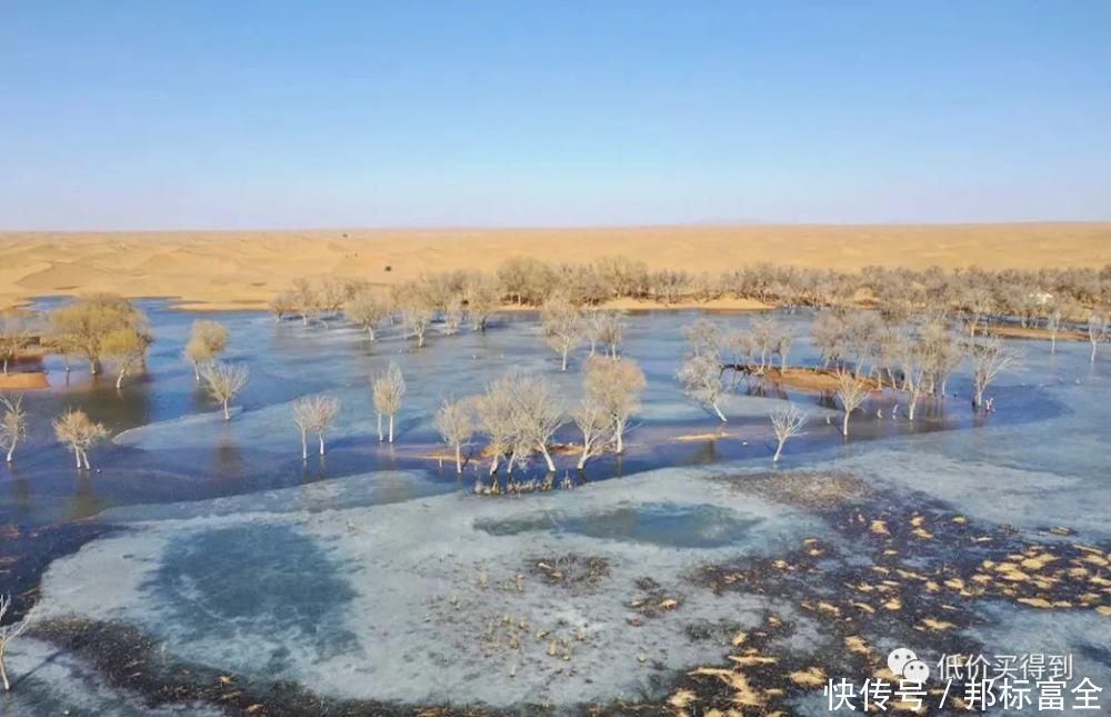 可以将沙漠里看星星列入你的旅行清单了!