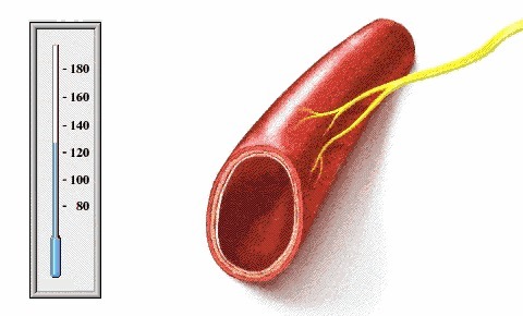 代茶饮|血管有堵塞，会出现5个异常，教你4招，给血管“洗洗澡”