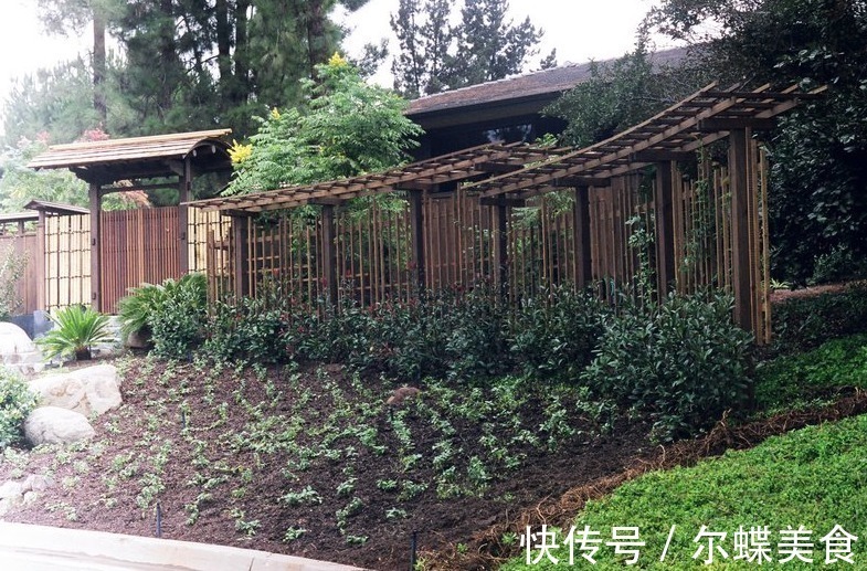 耐用性|有庭院就该学日本这样折腾,围墙和大门都加一圈屋檐,入户有排面