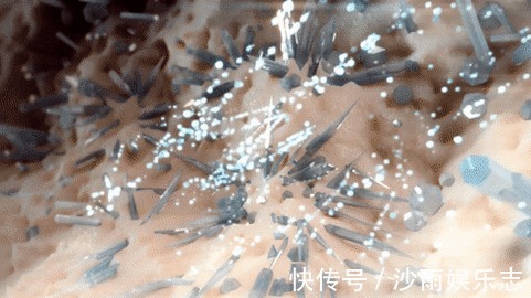 苏打水|痛风患者,喝柠檬水、苏打水能把尿酸降正常吗医生告诉您