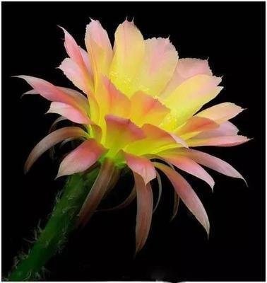 一日三餐|“大姨妈”出现3个信号，可能是快绝经了，别当成妇科疾病