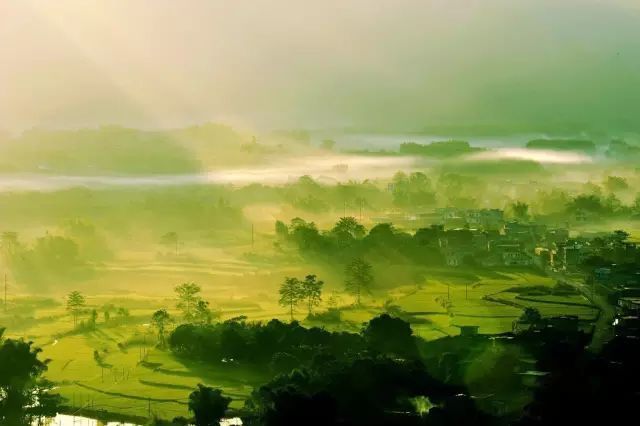 寒湿|阳气足,百病消!教你7个方法,让你阳气十足,远离寒湿!