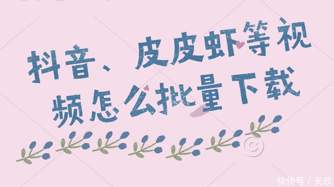 采集视频|抖音、皮皮虾保存视频失败,怎样快速自动保存皮皮虾的全部视频