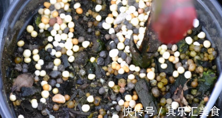 建议园艺新人：用这3种肥养花，万万不要弄错方法