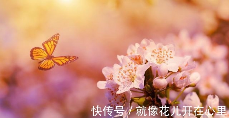 情诗&李商隐最令人绝望的一首诗,开篇就是千古名句,最后一句神来之笔