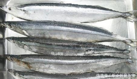 万不要错|买鱼时,看准这4种鱼,目前无法人工养殖,都是野生鱼,营养好吃