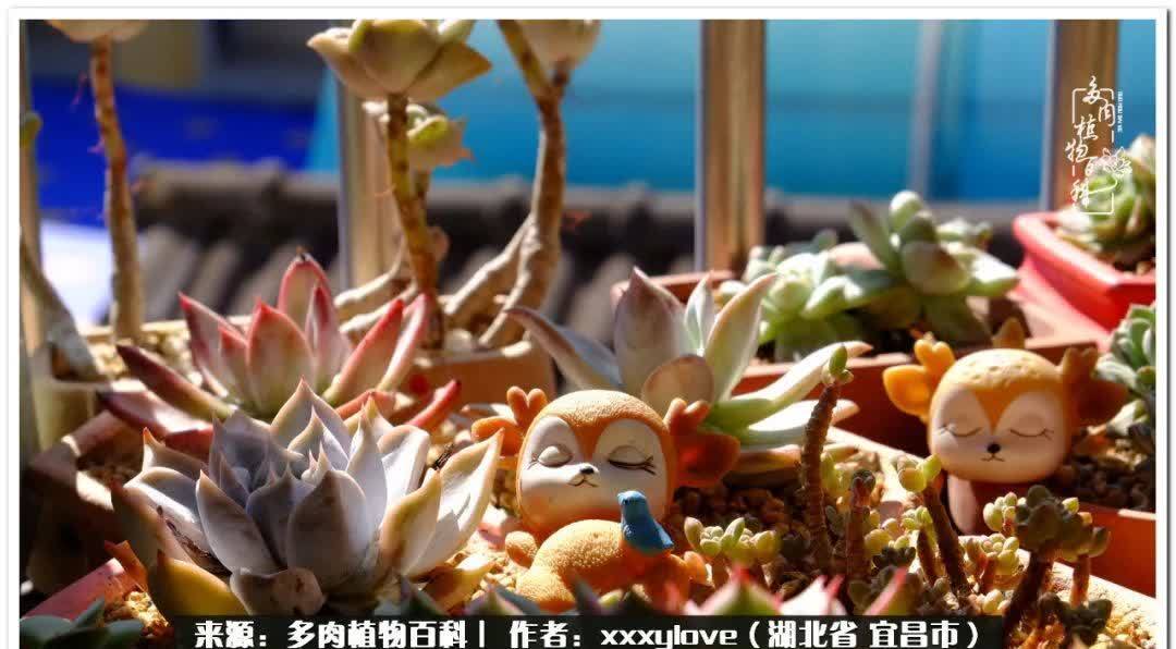 时光匆匆,一闪而逝,这世间万物的美,都值得被记录!