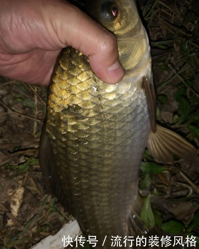 打不中鱼|漂相很稳就是打不中鱼?解决起来挺简单,但要排除一个问题