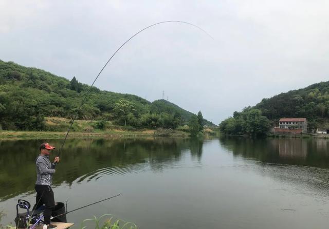 饵料|钓鲢鳙时频频锚鱼?简单的几个改动,就能大大提升正口率