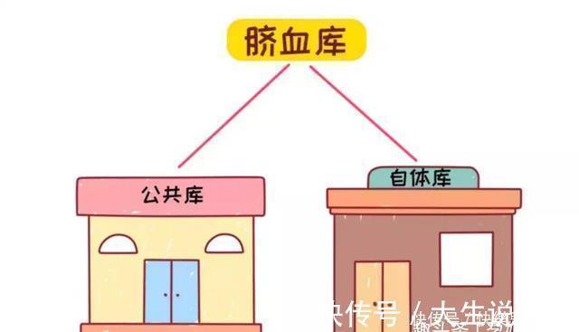 移植|花几万块给娃存的“脐带血”,关键时刻真的能救命吗?