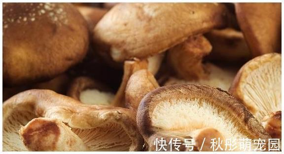 三酰甘油|血脂高的人,别怕,这3种食物,坚持早晚吃一点,血脂慢慢降下去