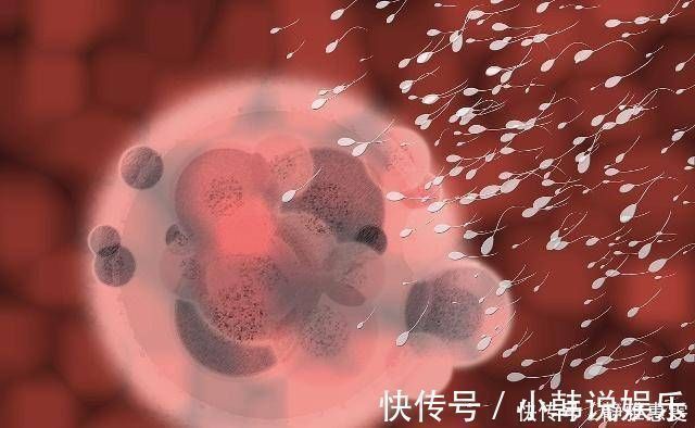 女性|受精卵着床的那一刻,女性通常会有这5种变化,备孕的你不妨一看