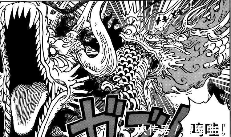 惡魔果實|海賊王1026話:惡魔果實的崛起,桃之助咬傷凱多,路飛五檔要來了