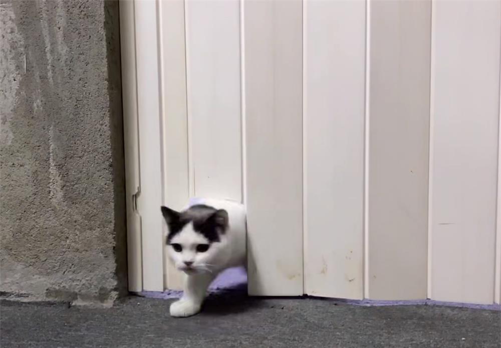 家居用品|东北小夫妻住了3年毛坯房，简不简陋不清楚，但是家居用品真全乎