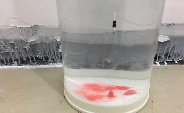 一钩触底一钩悬真的好吗?很多人弄错了,野钓这样调漂才高效