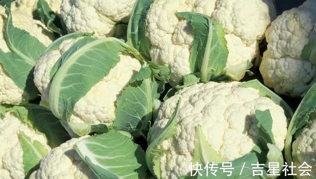 有机花菜|买花菜时，选散花还是紧花老菜农别再买错了，难吃又浪费钱