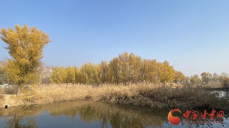 甘肃省|临夏永靖：百里山河锻造生态新名片