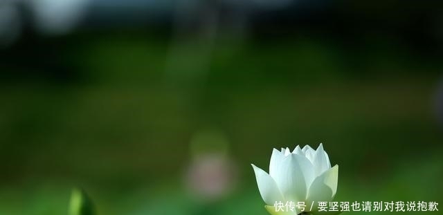 会发现|人生,慢慢地,才最美