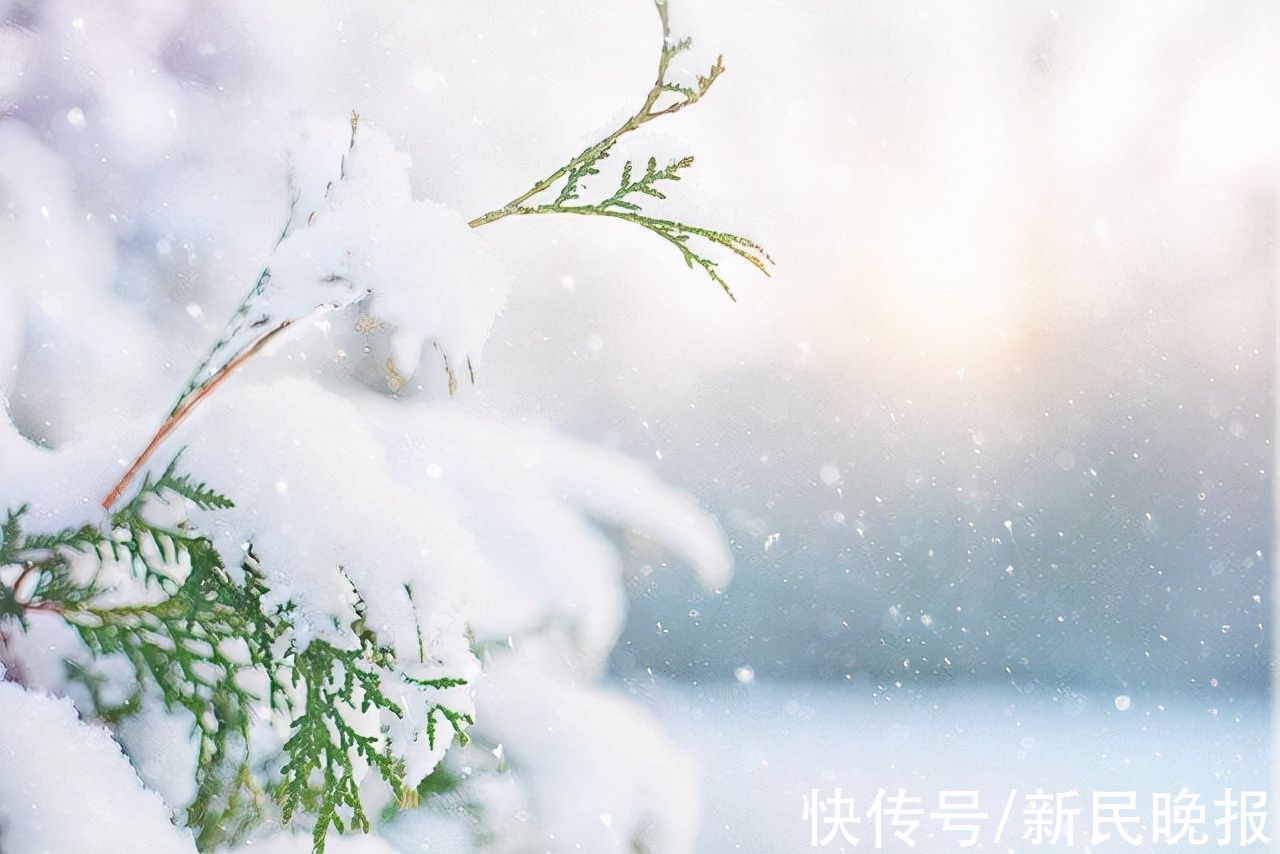 自然界！节气 | 大雪，能饮一杯无