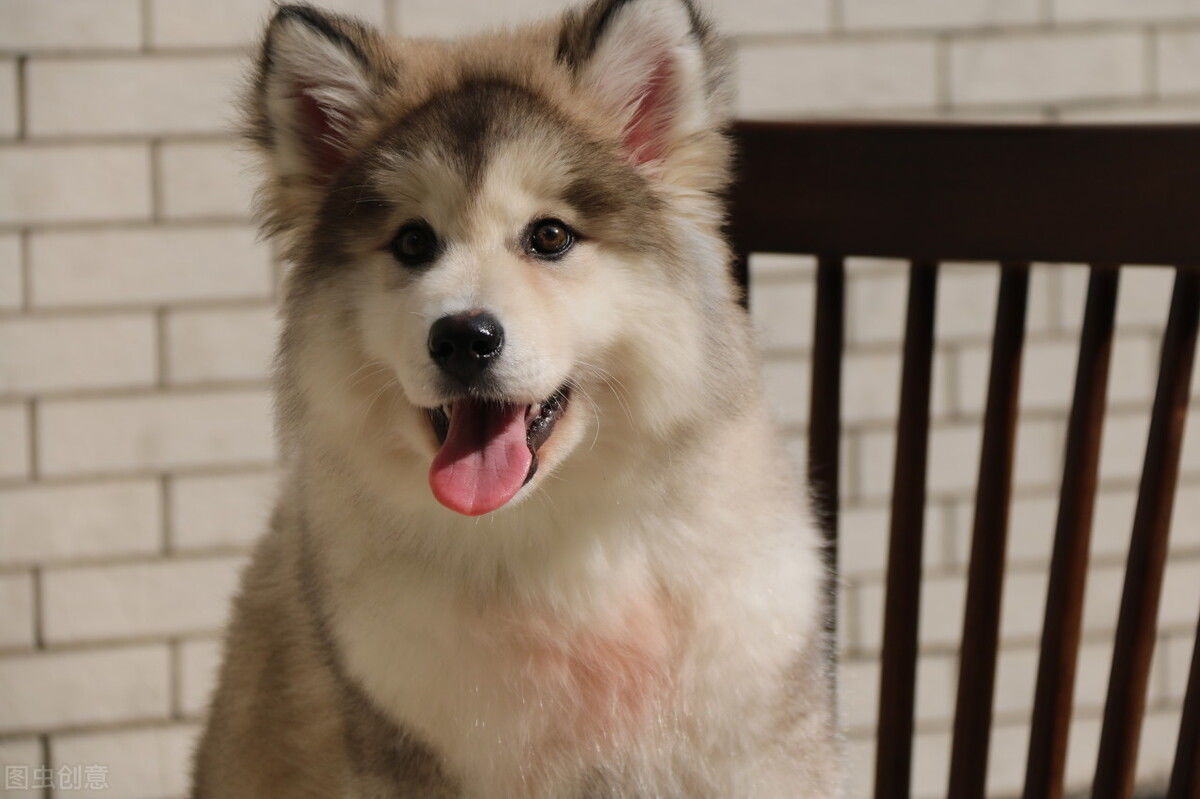 小玉|只是打球撞了次下巴，漂亮女孩发热不退、脖子肿胀像“怪物”，“凶手”原来藏在牙齿里