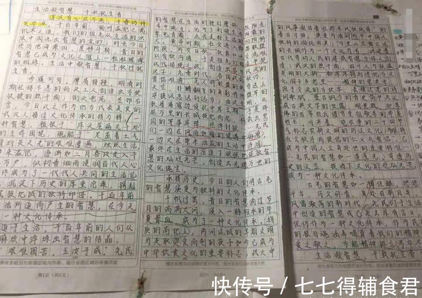 高分|高考状元“学霸笔记”曝光，语文能考146分，原来靠的是这些方法