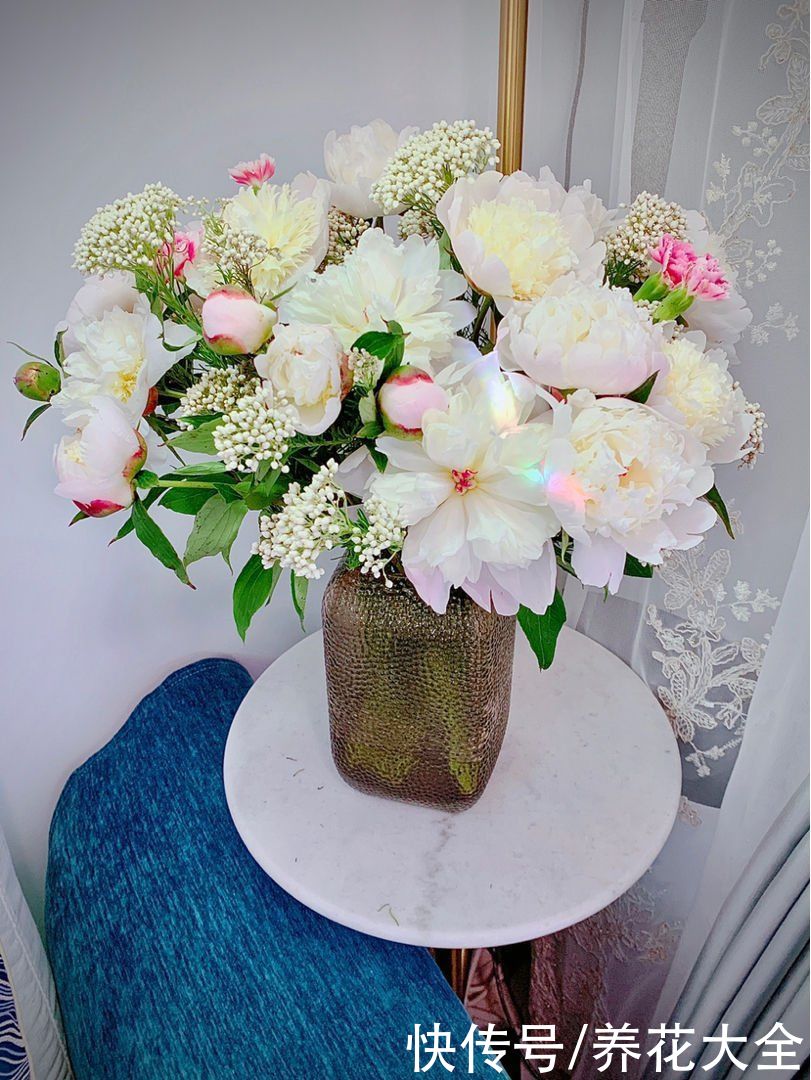 土农药|抓住5月的尾巴，赶紧养一株“芍药花神”，开花比碗还要大