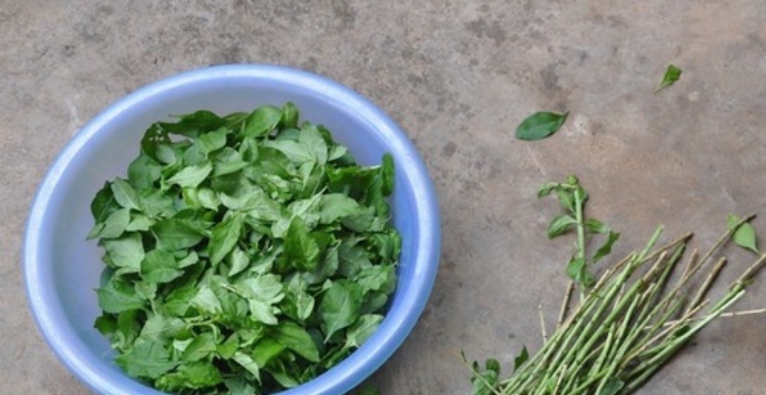 冬天|有钱没钱,冬天都要常吃此物,养肝明目,软化血管,身体棒!