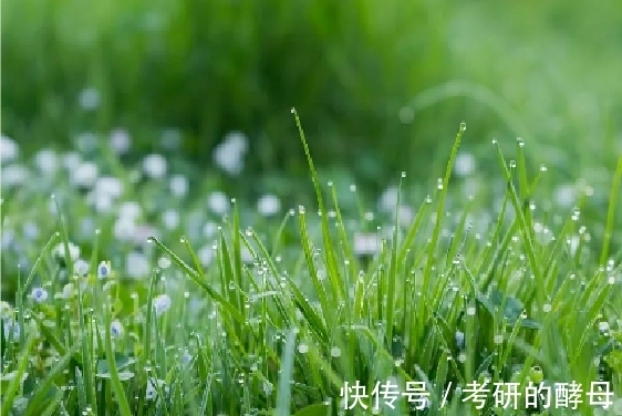 诗人$早春时节,杜甫和陆游各自吟诵了一首五律,画面不同,心境相似