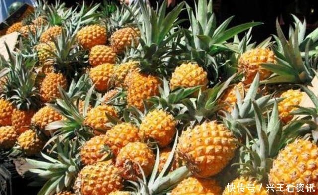 吃菠萝,用冷水+盐泡是错的!果农教你正确做法,又香又甜还干净