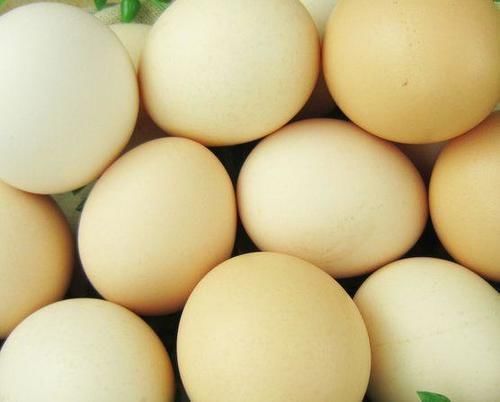 鸡蛋|每天吃一个鸡蛋的人，与不吃鸡蛋的人有何不同？医生给出合理解答