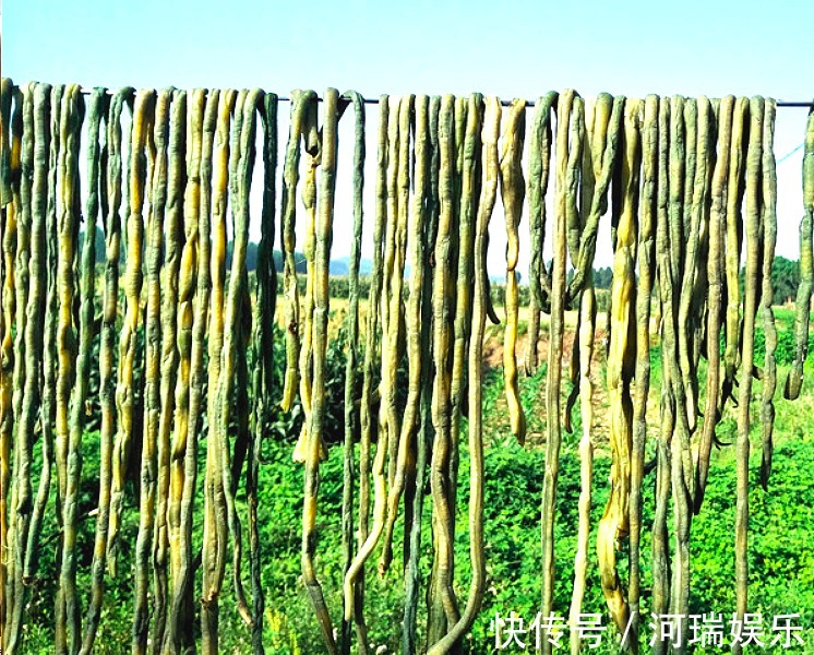 蔬菜|适合夏天晒的6种蔬菜干，比新鲜好吃，多晒一些囤起来，随吃随取